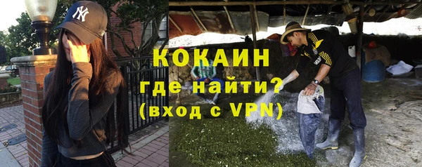 стаф Абинск